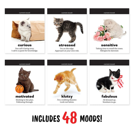 Daily Cattitudes Desk Flipchart