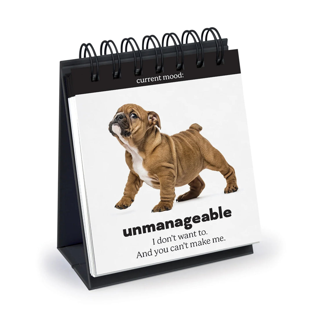 Daily Doggo Desk Flipchart