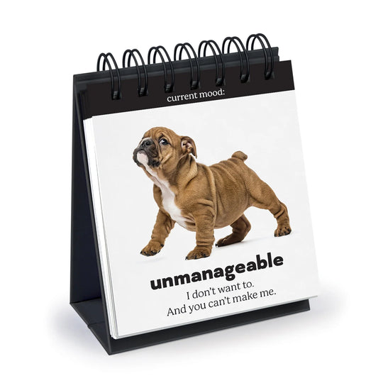 Daily Doggo Desk Flipchart