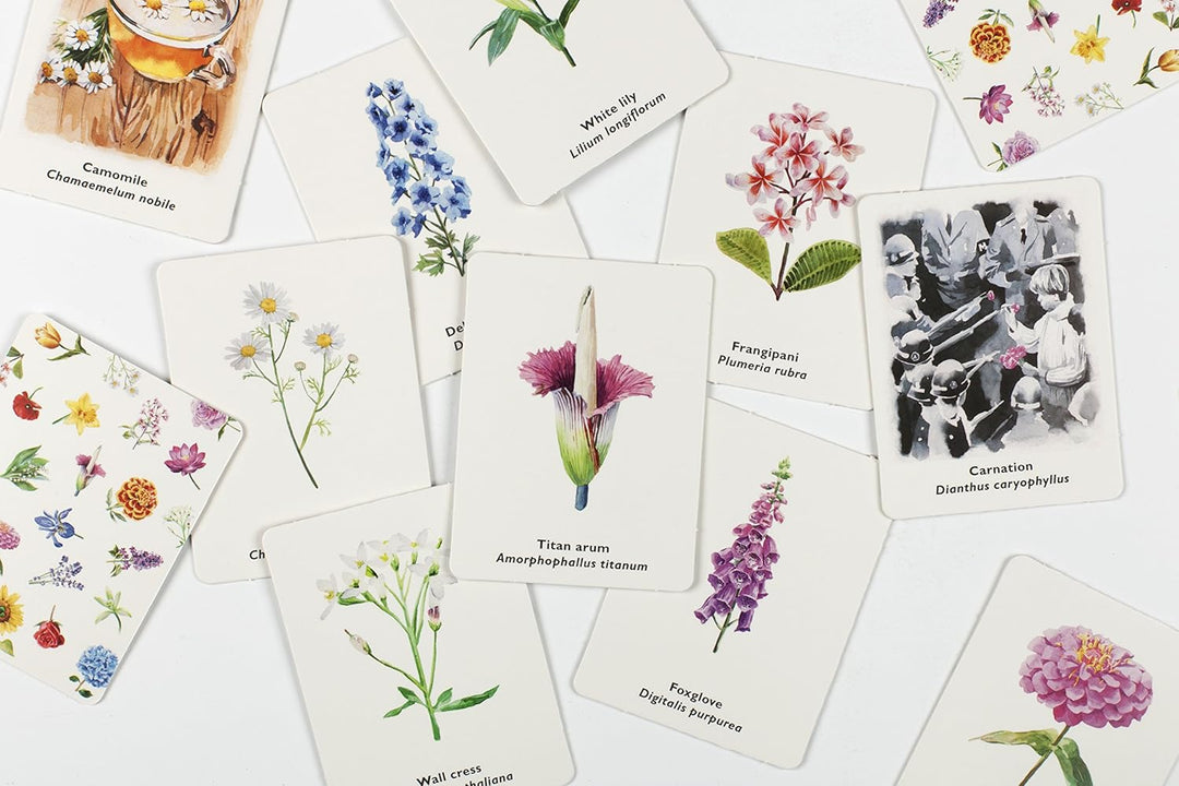 Pick A Flower Memory Game
