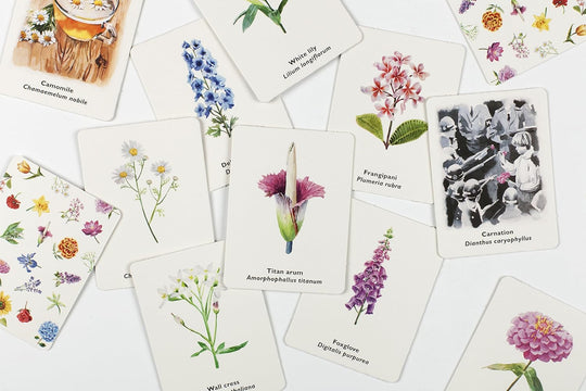 Pick A Flower Memory Game