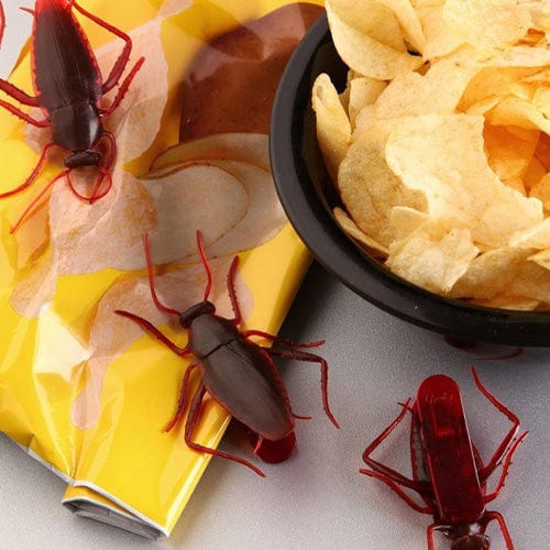 Roach Bag Clips
