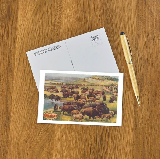Retro postcard featuring Pawnee Bill with buffalo and western scenery, inspired by historic Oklahoma imagery.