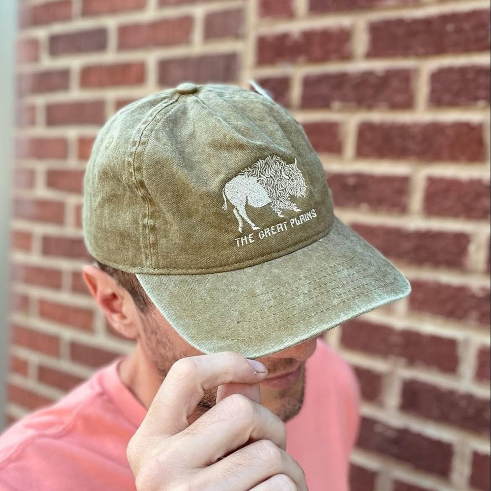 Great Plains Dad Hat