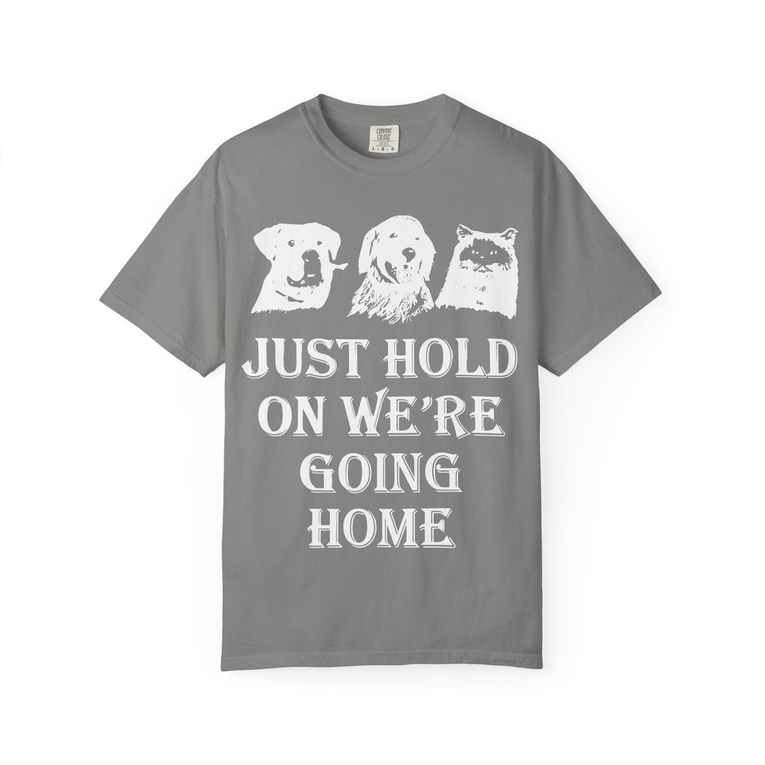 Let's Go Home Comfort Colors TShirt