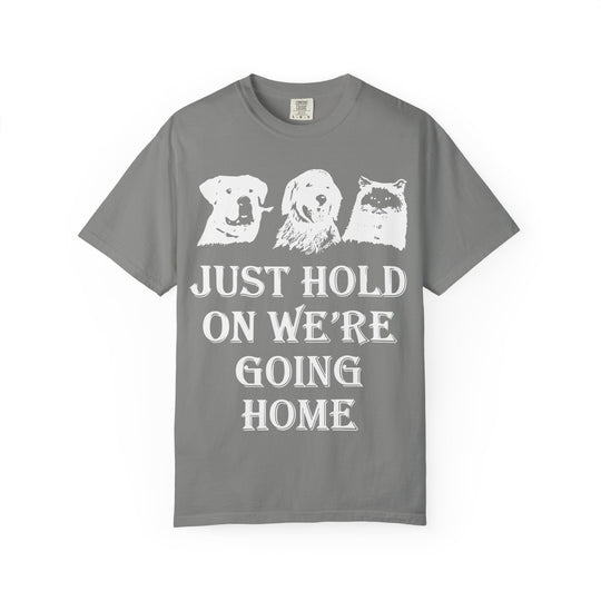 Let's Go Home Comfort Colors TShirt