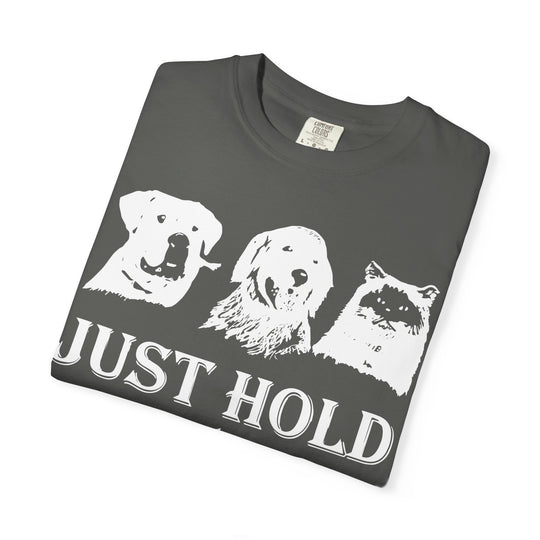 Let's Go Home Comfort Colors TShirt