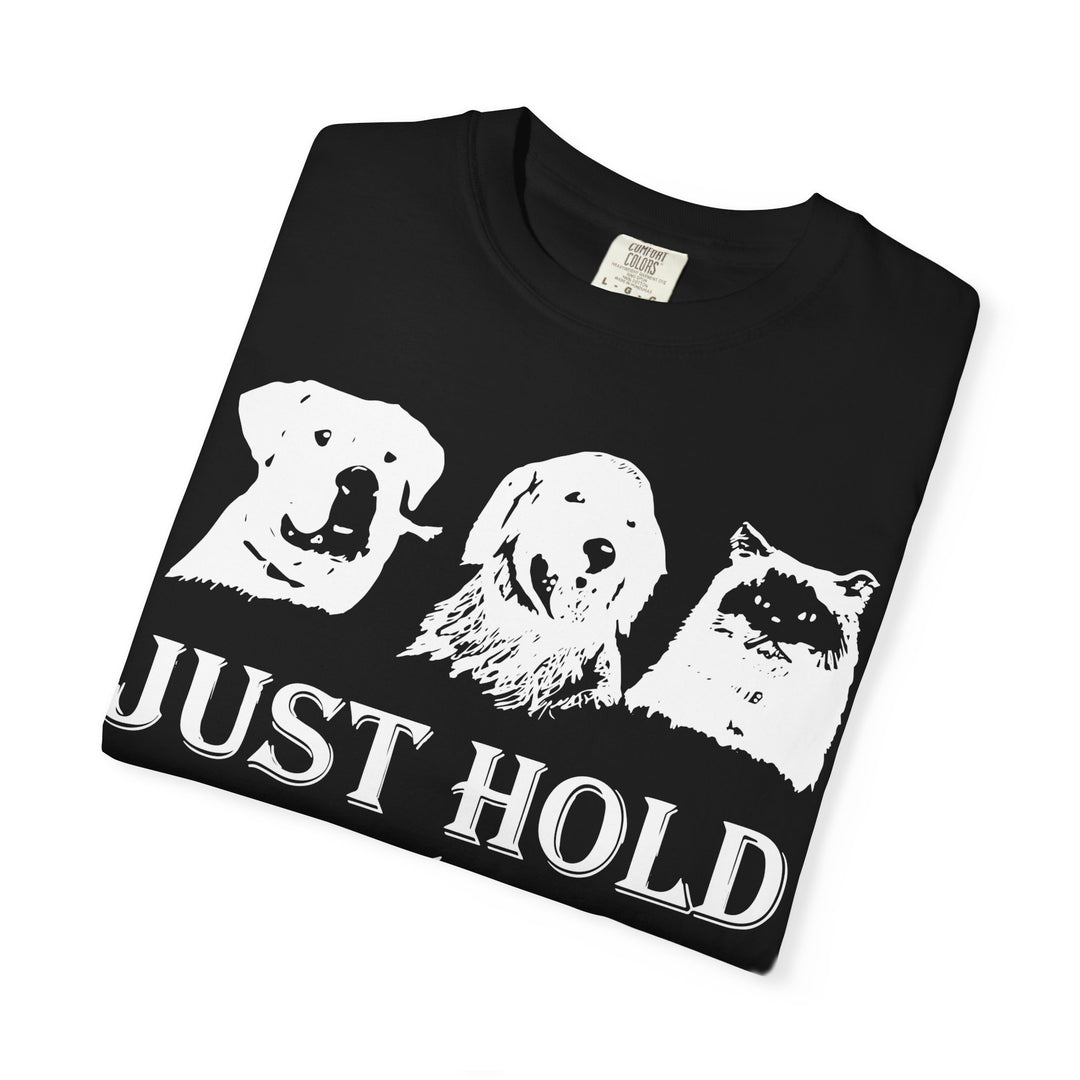 Let's Go Home Comfort Colors TShirt