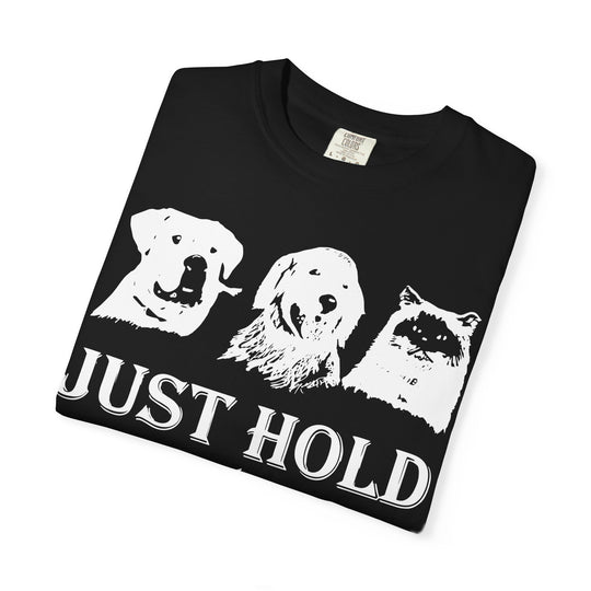 Let's Go Home Comfort Colors TShirt