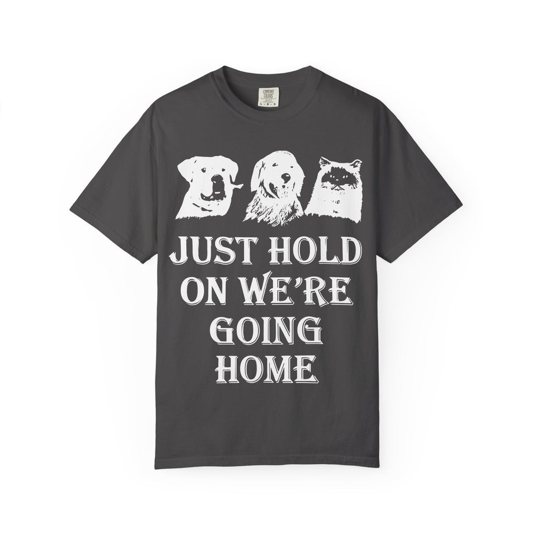 Let's Go Home Comfort Colors TShirt
