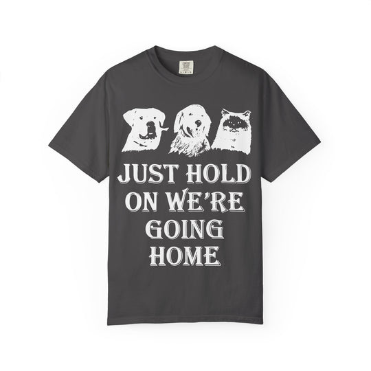 Let's Go Home Comfort Colors TShirt