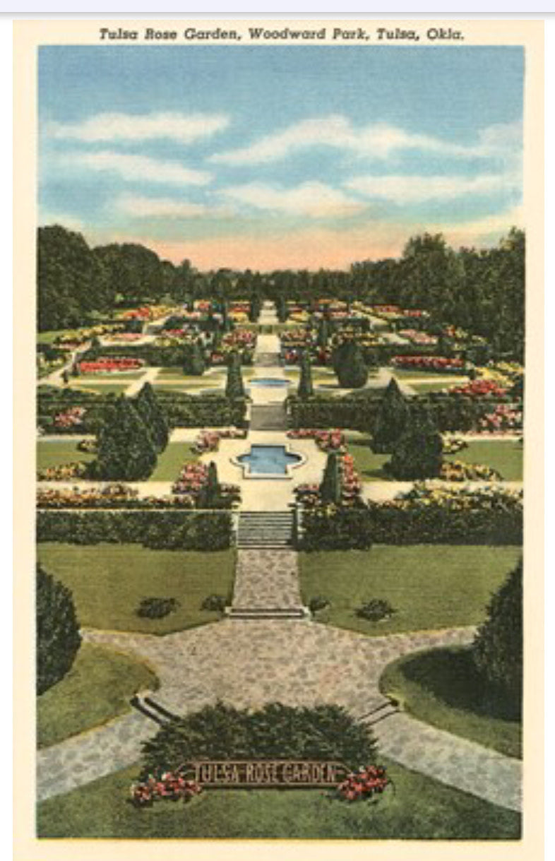 Tulsa Rose Garden Postcard