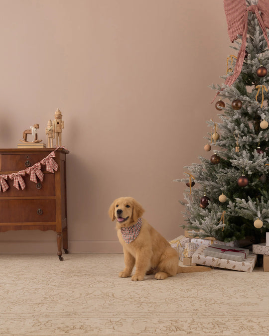 Rylee + Cru - Holiday Gingham Dog Bandana