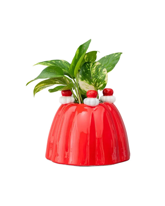 Jello Vase