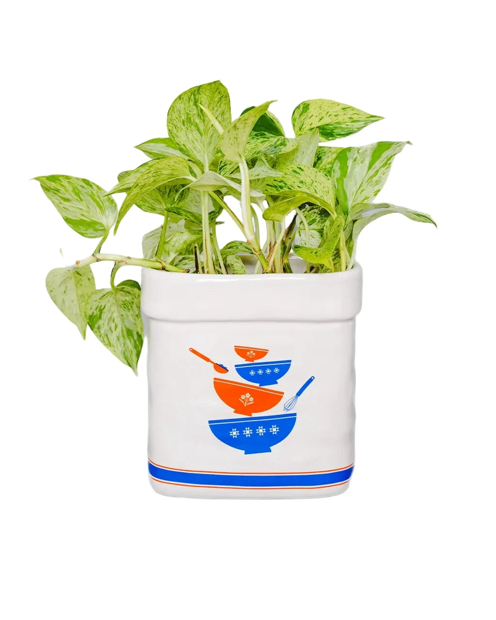 Sugar Jar Ceramic Planter