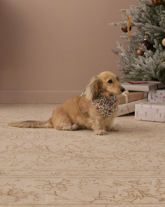 Rylee + Cru - Holiday Floral Dog Bandana