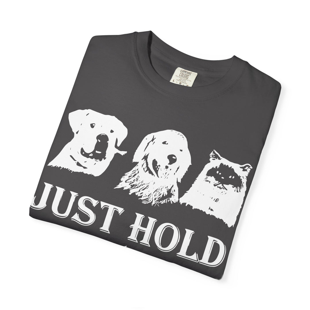 Let's Go Home Comfort Colors TShirt