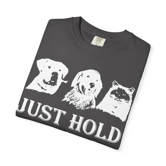 Let's Go Home Comfort Colors TShirt