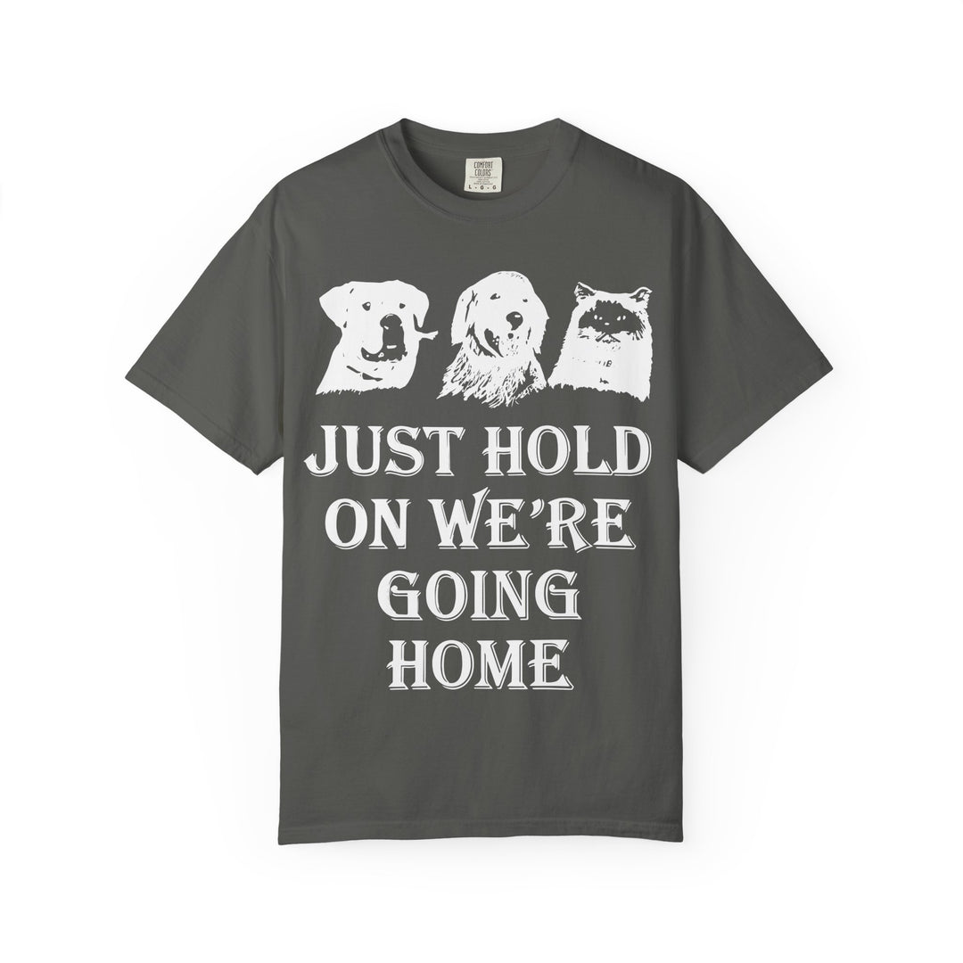 Let's Go Home Comfort Colors TShirt