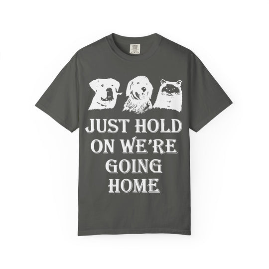 Let's Go Home Comfort Colors TShirt