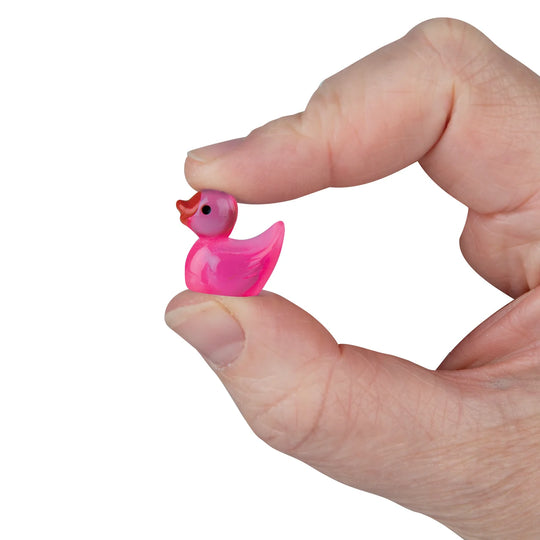 Teeny Tiny Ducks Pouch