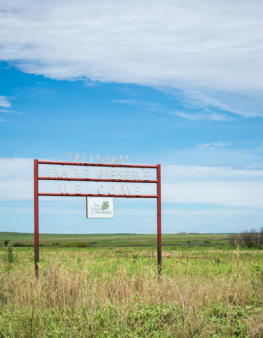 Tall Grass Prairie Coaster