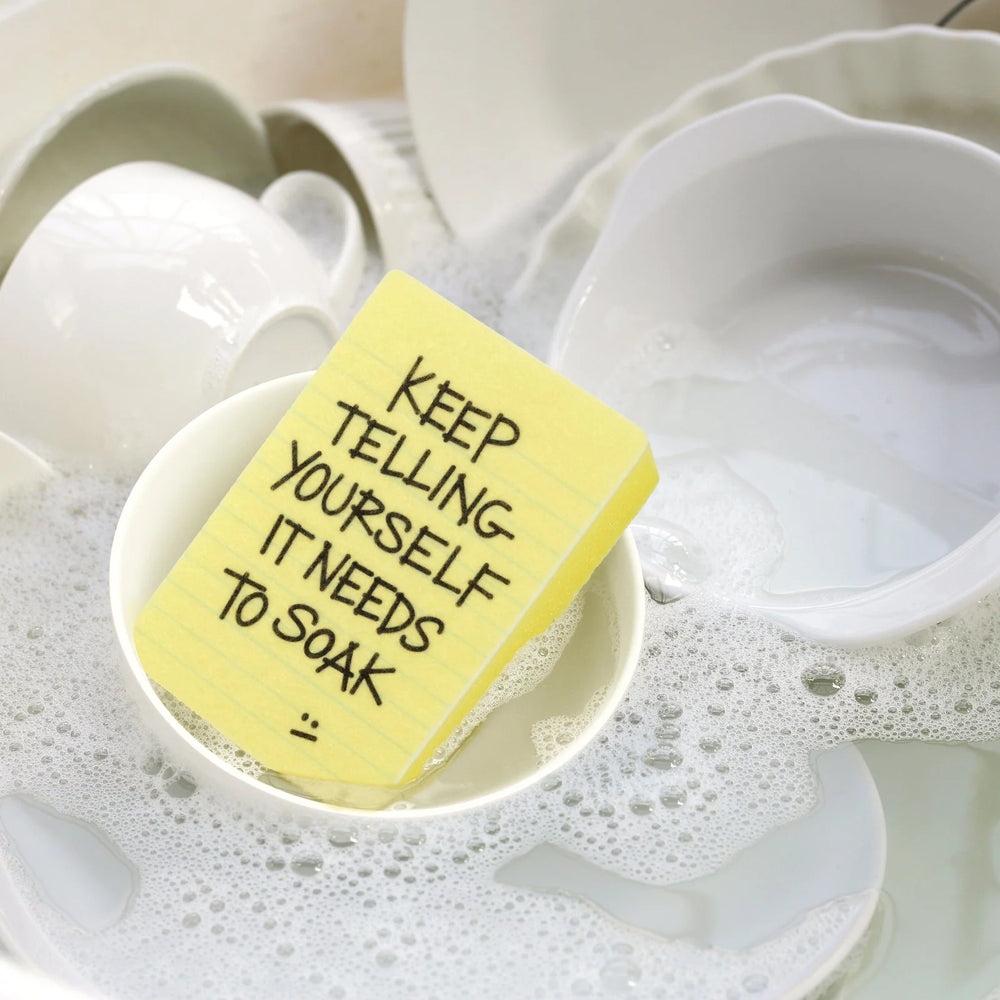 Clean Conscience Funny Sponges