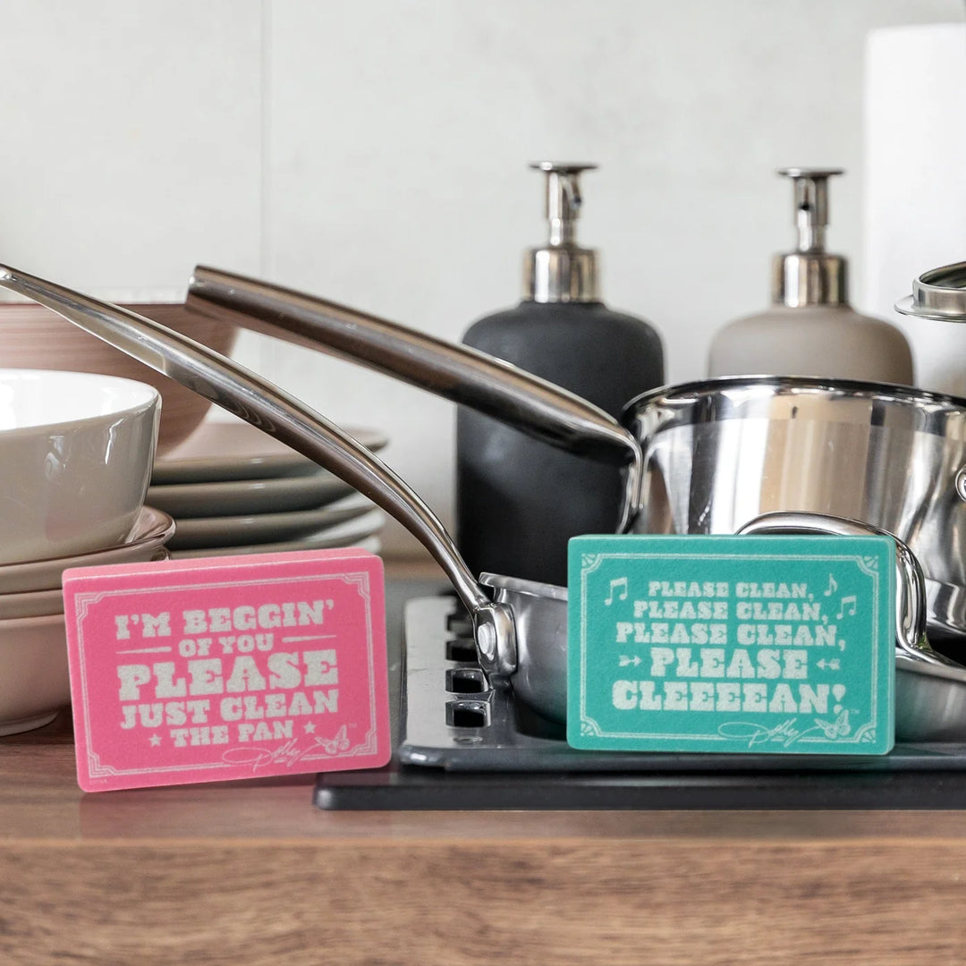 Dolly Please Clean Sink Sign Sponges