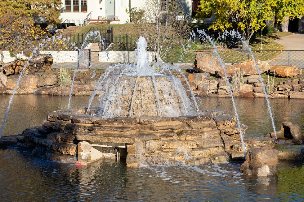 Swan Lake City Park Coaster