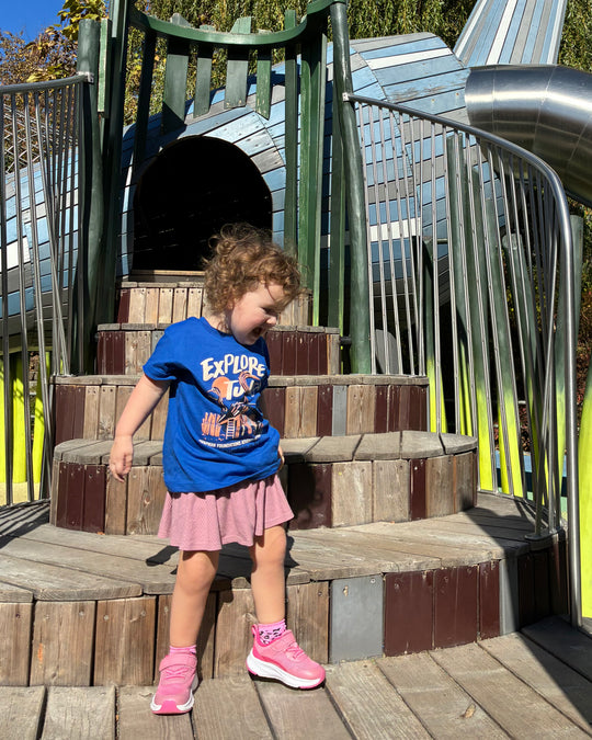 Chapman Adventure Playground Toddler Tshirt