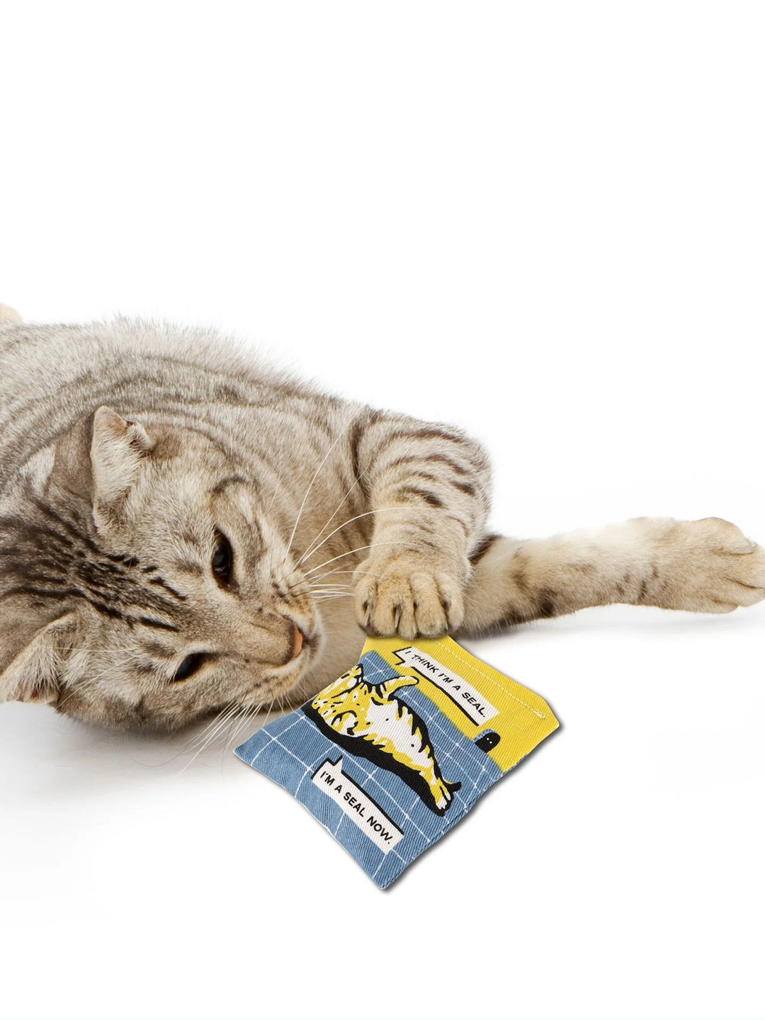 Your Cat Is High Catnip Toy