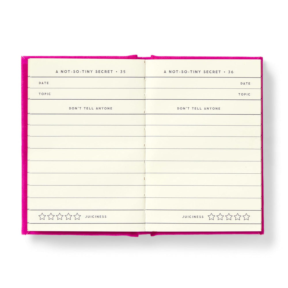 Tiny Diary for Not So Tiny Secrets