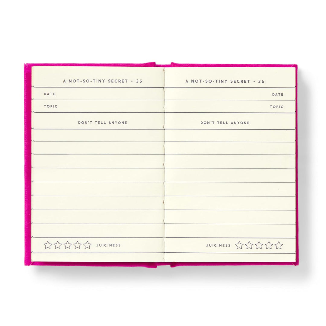 Tiny Diary for Not So Tiny Secrets