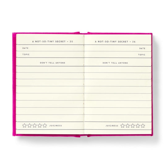 Tiny Diary for Not So Tiny Secrets