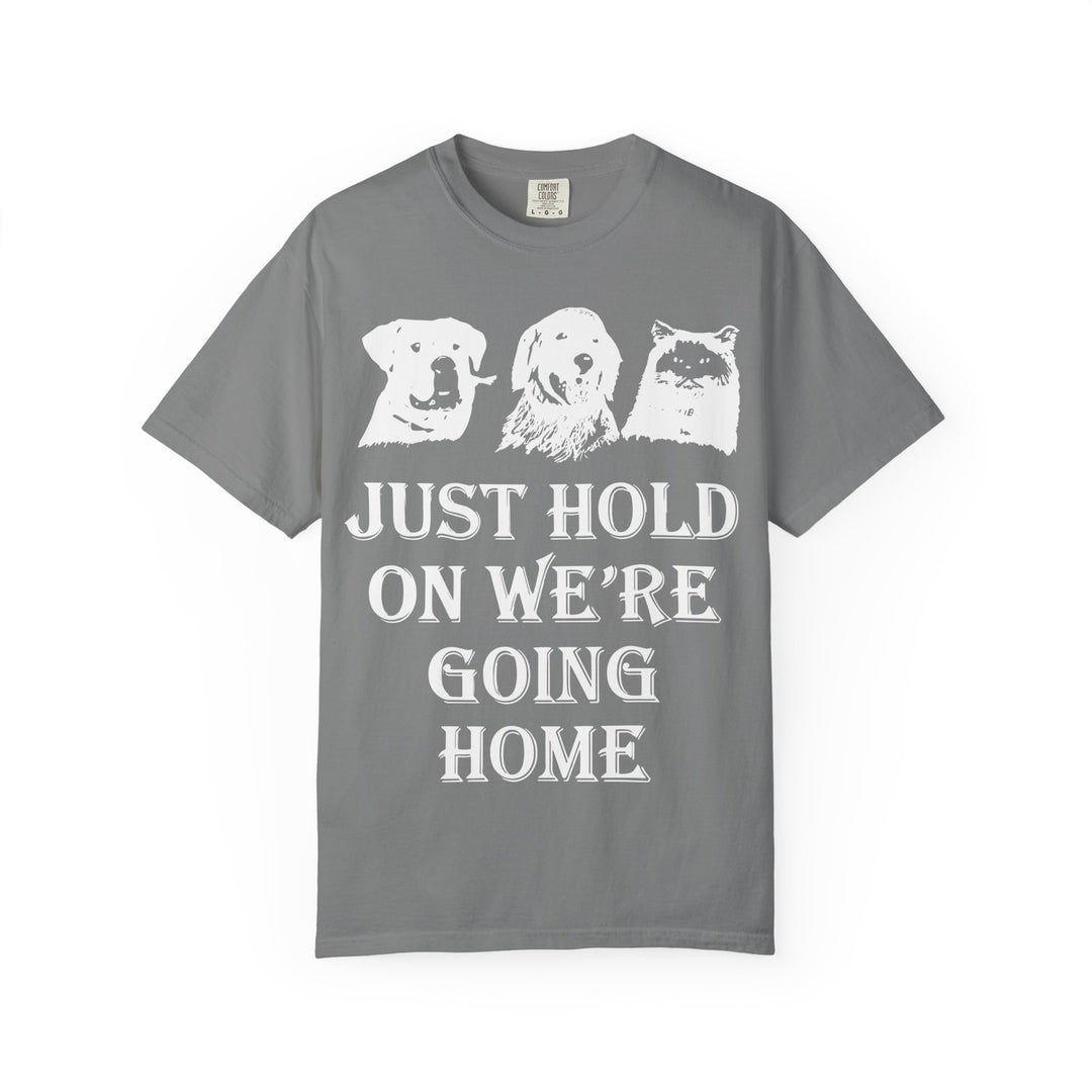 Let's Go Home Comfort Colors TShirt