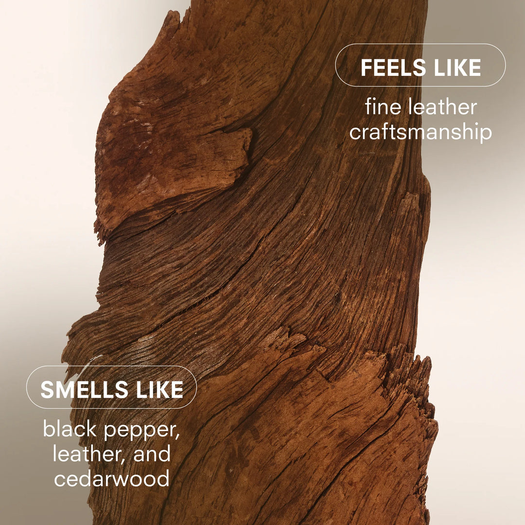 Boy Smells - Hard Wood Candle 8.5oz