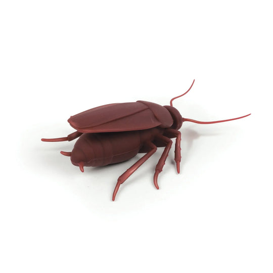 Cockroach Bottle Stopper
