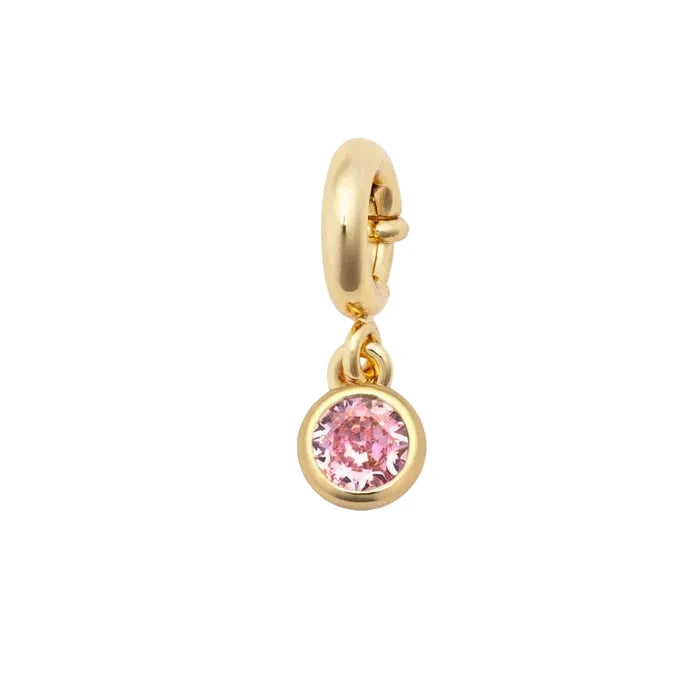 LWP Birthstone Charm