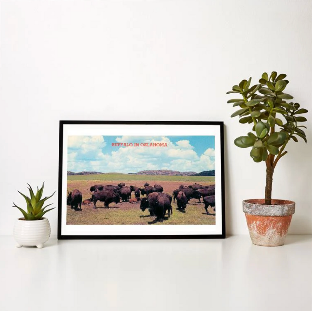 Retro-style print of a field of buffalo in Oklahoma, rustic prairie-inspired wall art.