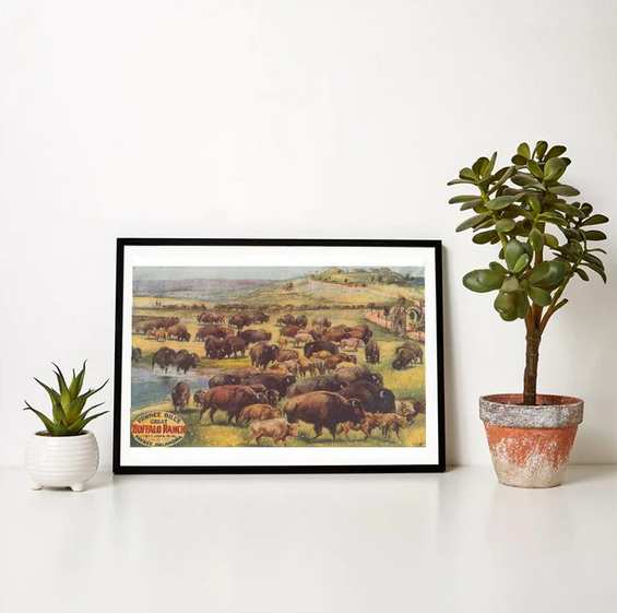 Retro Oklahoma art print with buffalo herd at Pawnee Bill’s Ranch, classic Western wall decor.