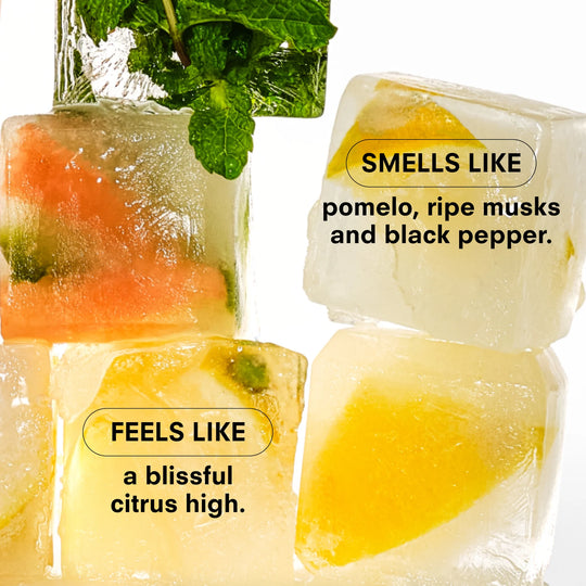 Boy Smells - Citrush Candle 8.5oz