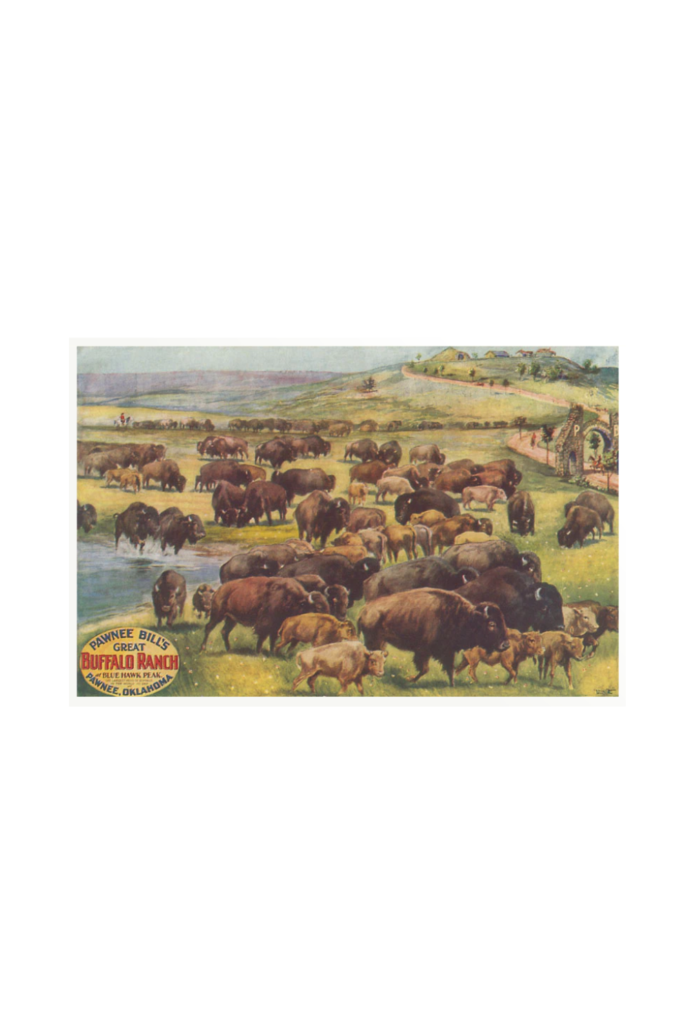 Vintage art print of Pawnee Bill’s Great Buffalo Ranch showing a herd of bison on the plains of Oklahoma.