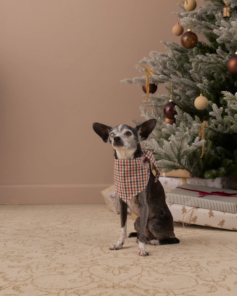 Rylee + Cru - Holiday Gingham Dog Bandana