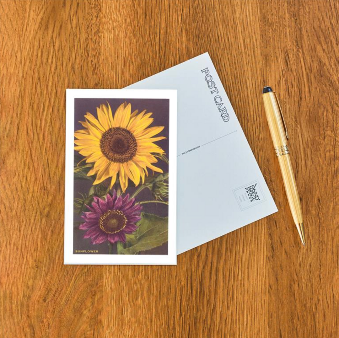 Vintage-style postcard of two sunflowers, one golden yellow and one plum purple, with detailed leaves.