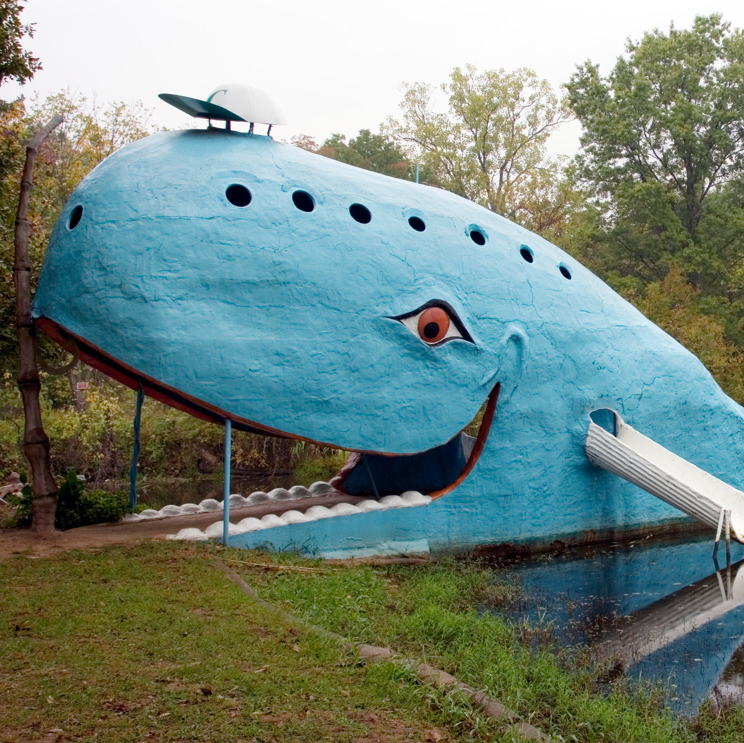 Blue Whale Route 66 Coaster | Catoosa Oklahoma Souvenir – Ida Red