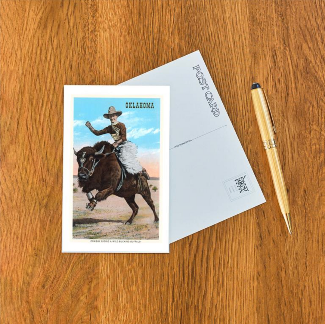 Cowboy Riding Buffalo Postcard