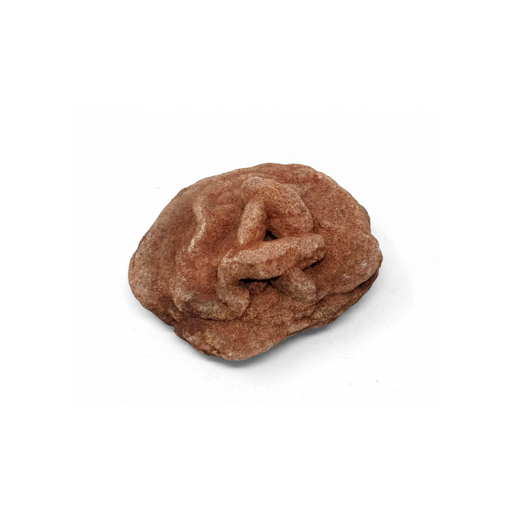 rock rose seeds for sale Medium Rose Rock 1pc – Ida Red