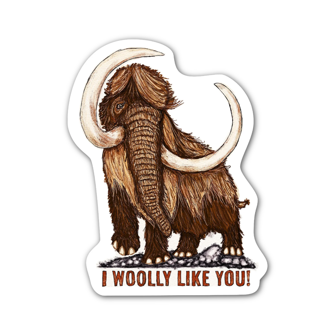 I Wooly Like You Sticker