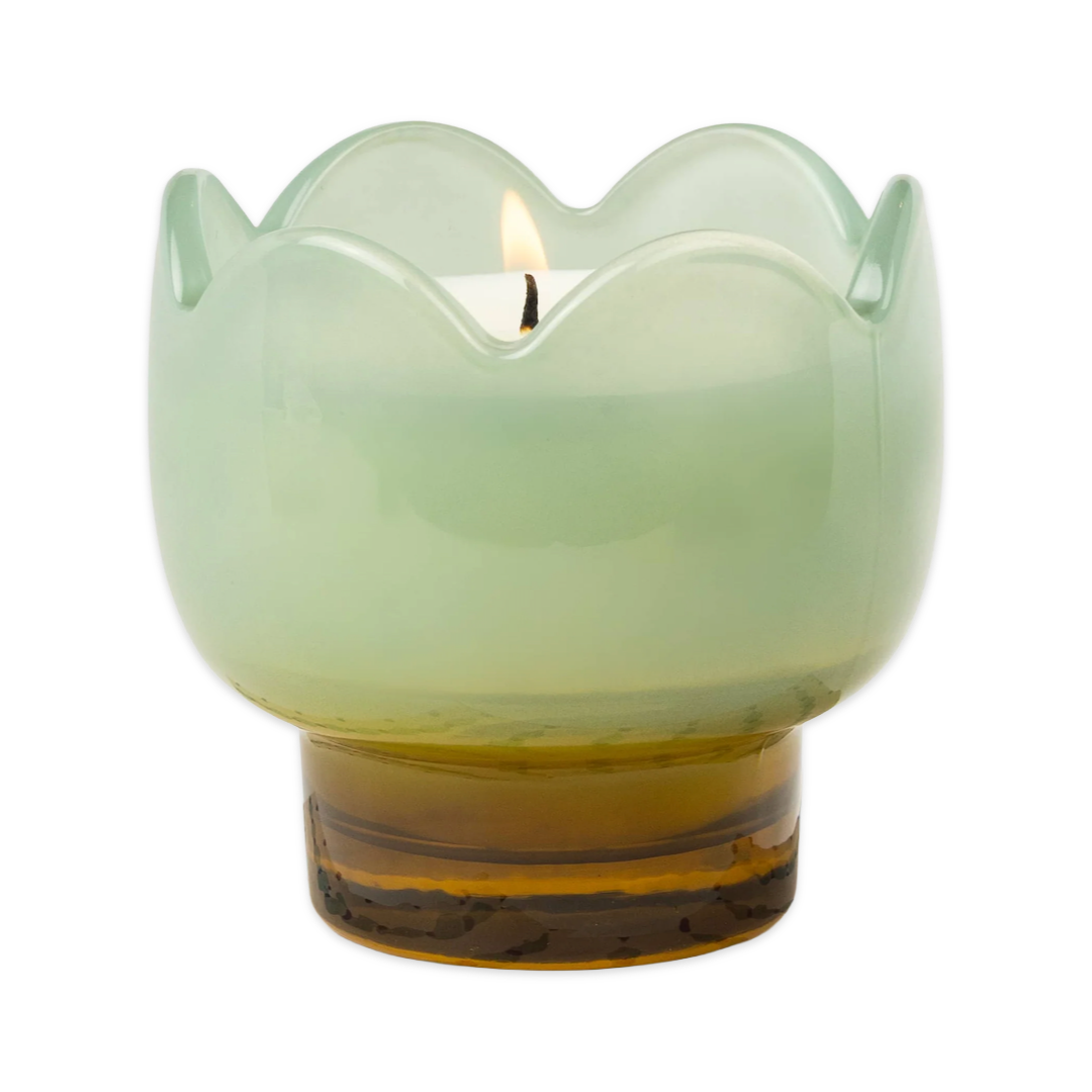 Wisteria &amp; Willow Tulip Candle 5.5 oz