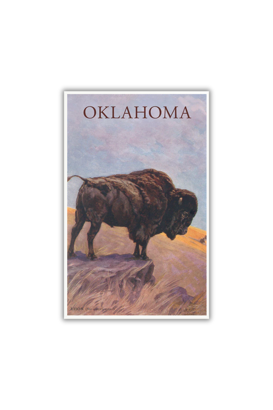 Bison Oklahoma Postcard